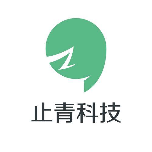 武汉止青科技